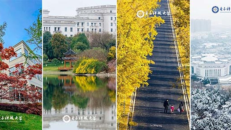 北京连接器批发市场哪家好
