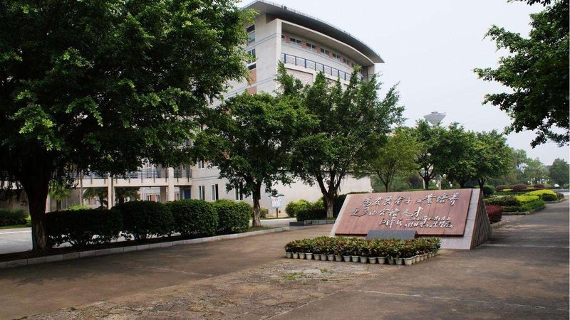 低频三极管放大电路与高频放大电路：关键差异解析